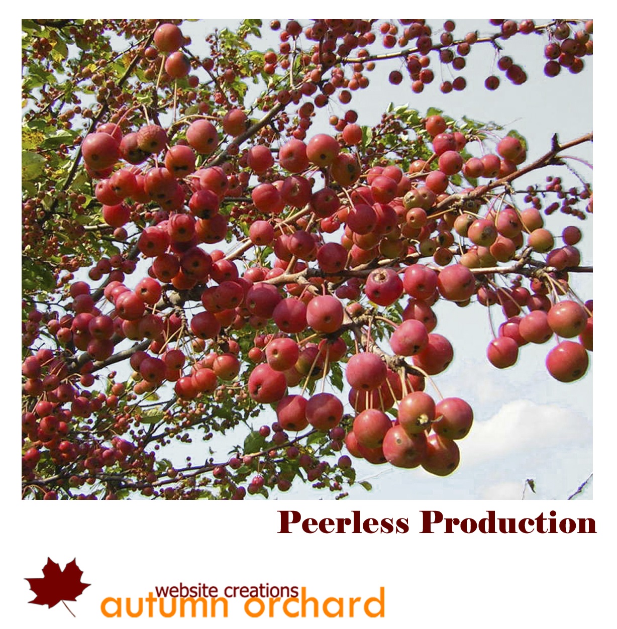 Autumn Orchard Web Design